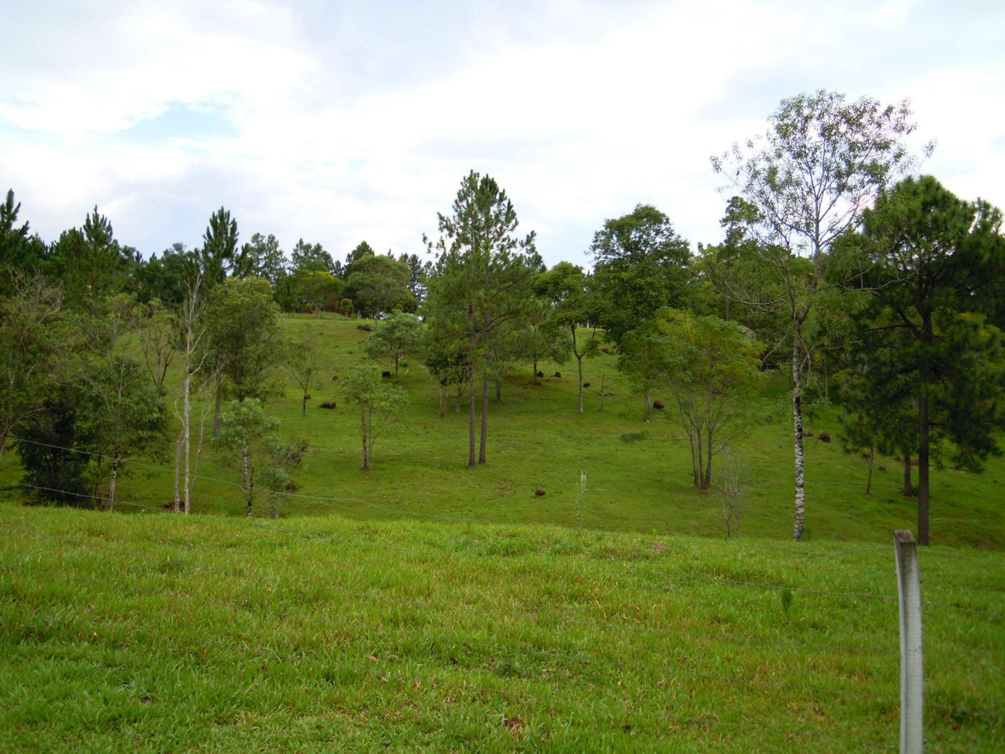 Cabañas Moconá Dos de Mayo Quarto foto